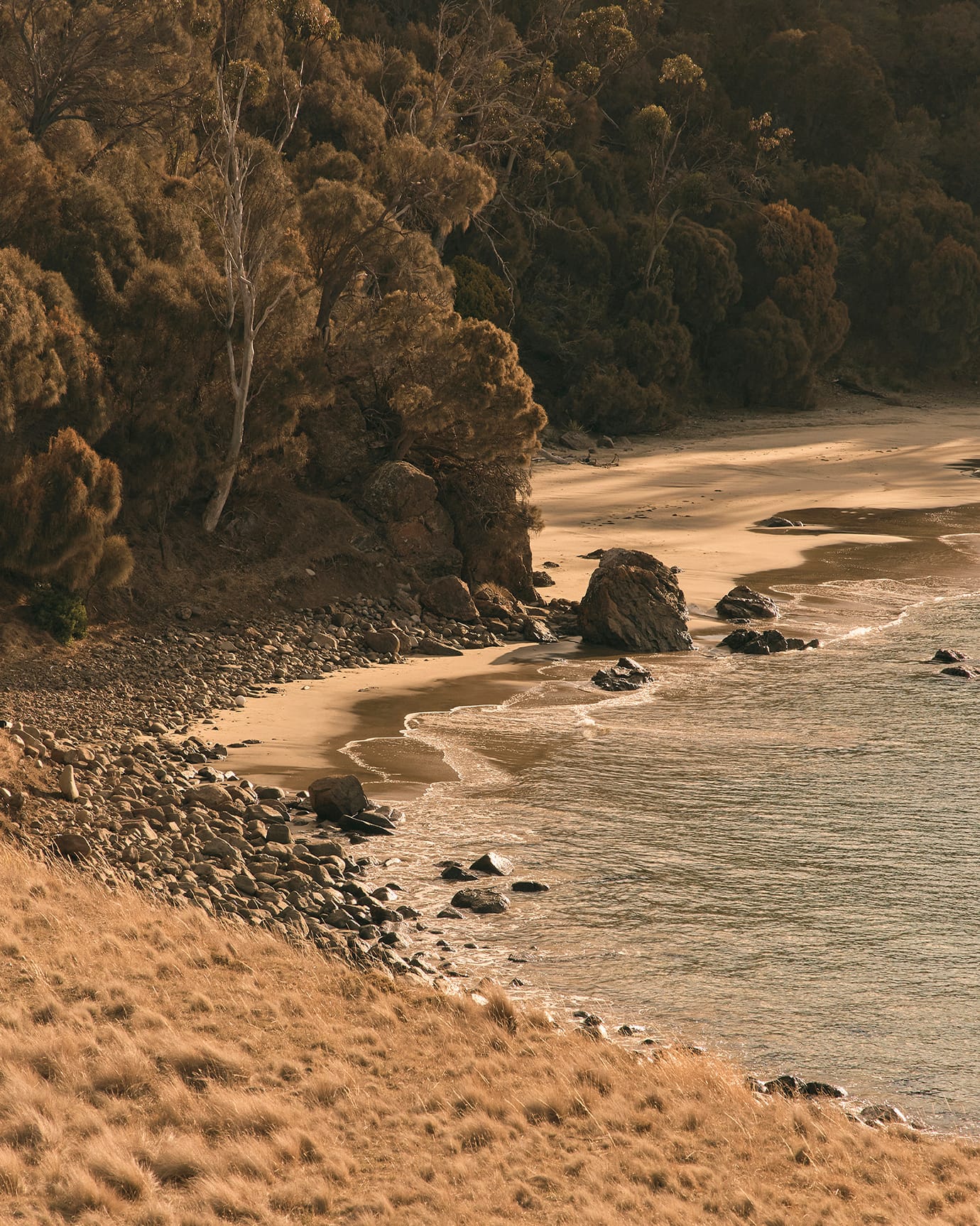 A small and rugged beach at Bruny Island, Tasmania, featuring large rocks, thick bush and golden grass fields.