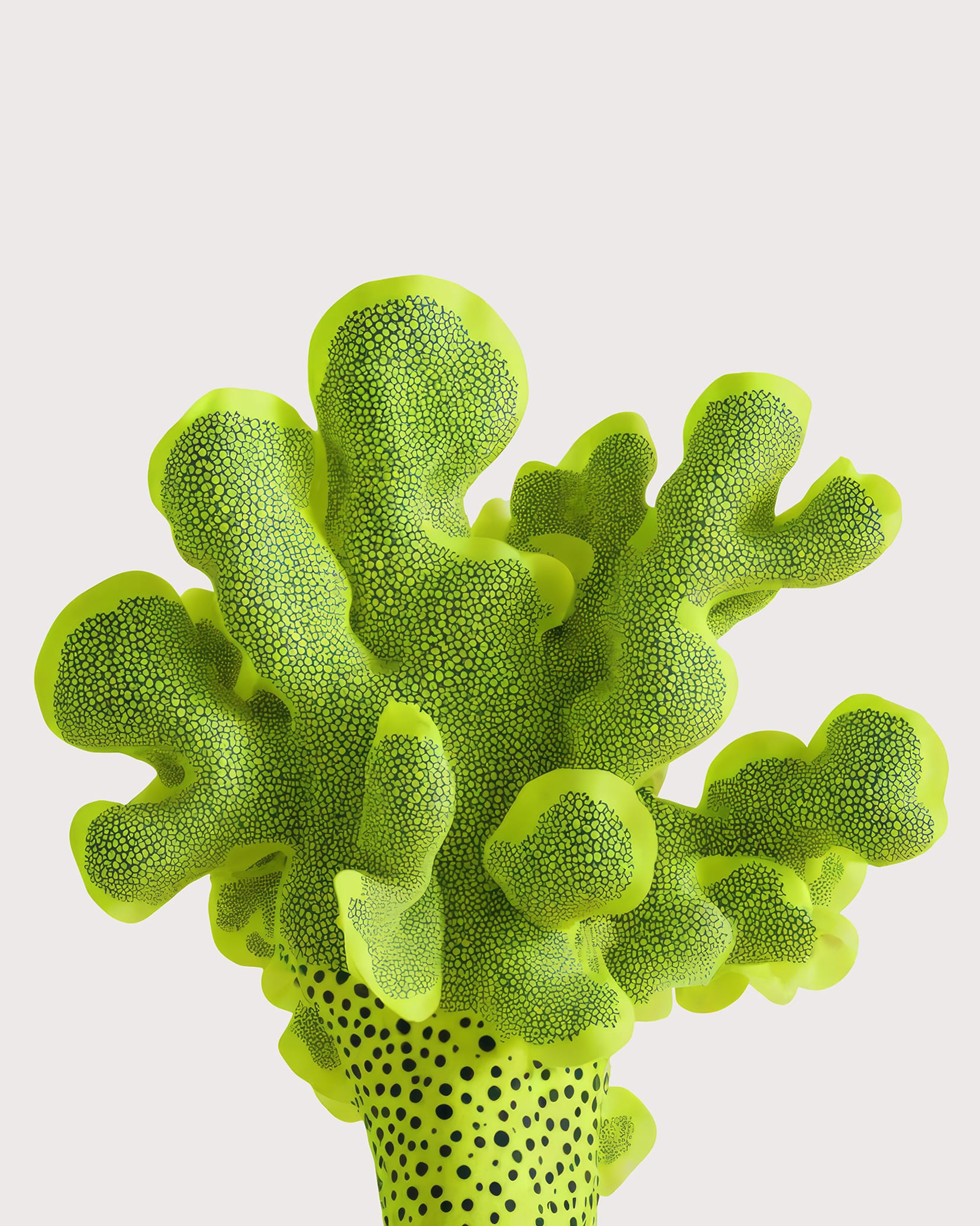 Coral created by AI, developed by design.