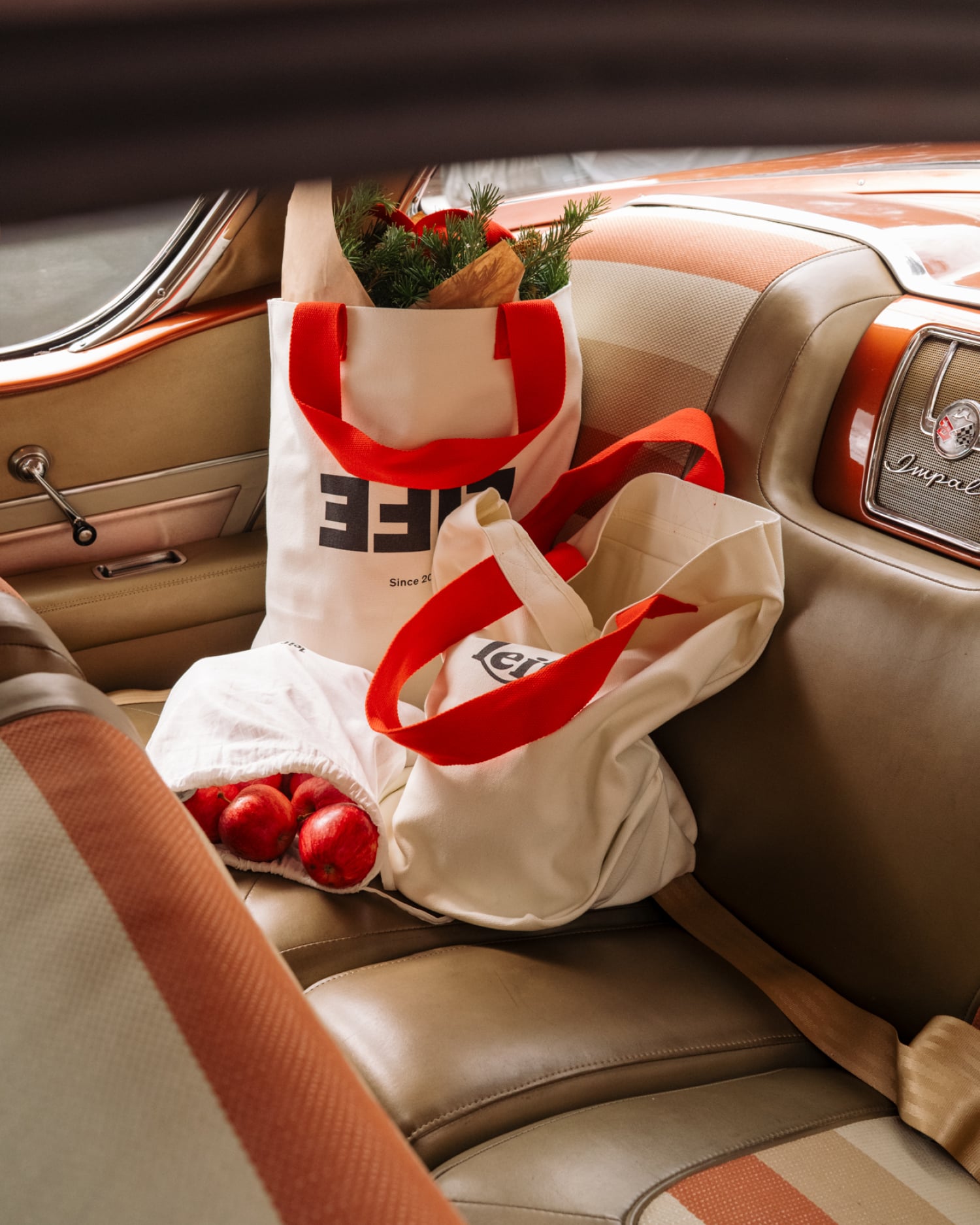 What Fills A Life (Tote)