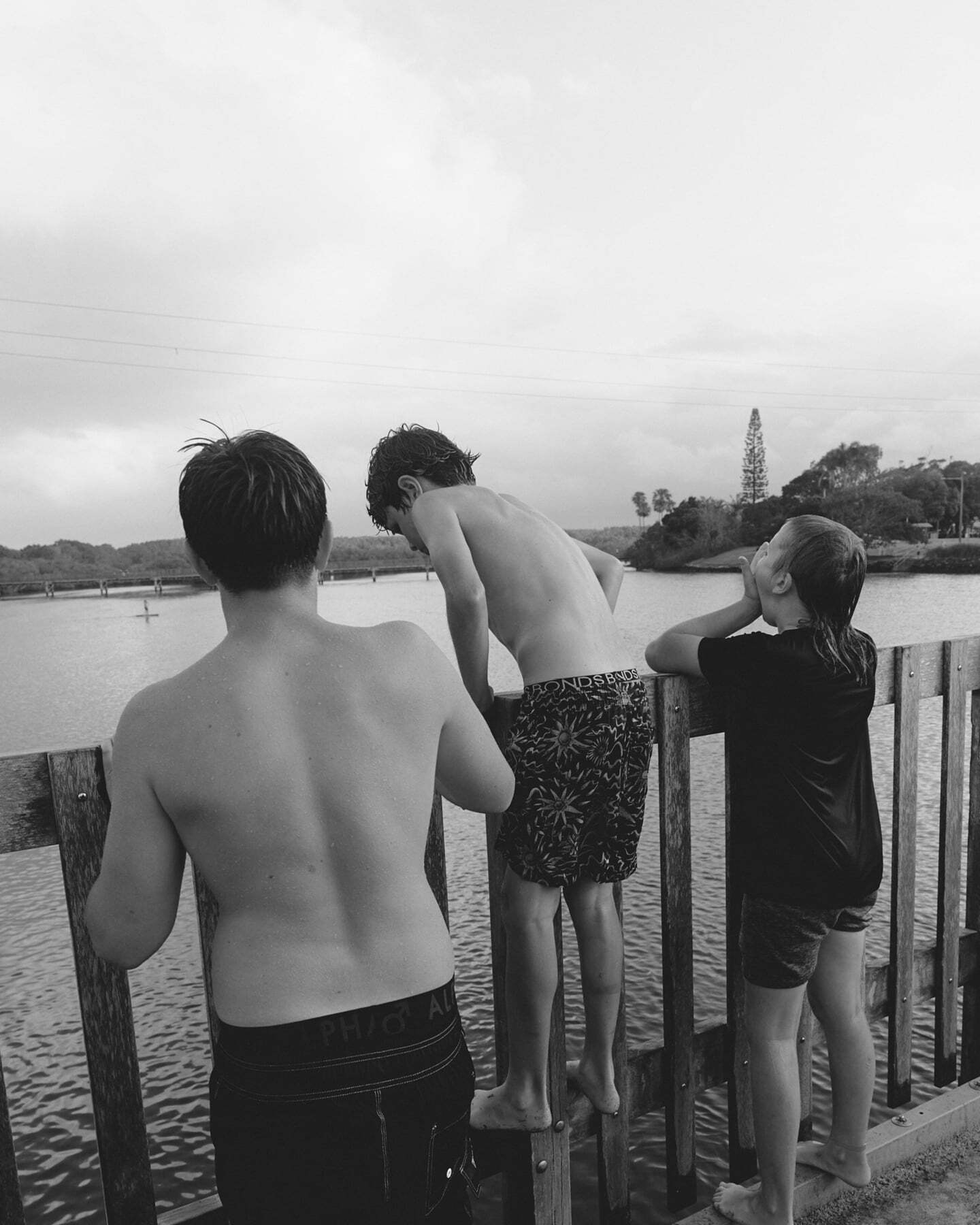 LEIF Products - Australian Fills & Modern Form