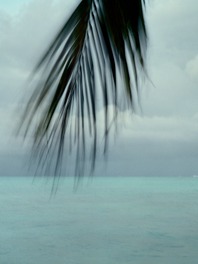 Leif Products x Photographer Ingvar Kenne: Australian Ocean with Palm Tree Landscape